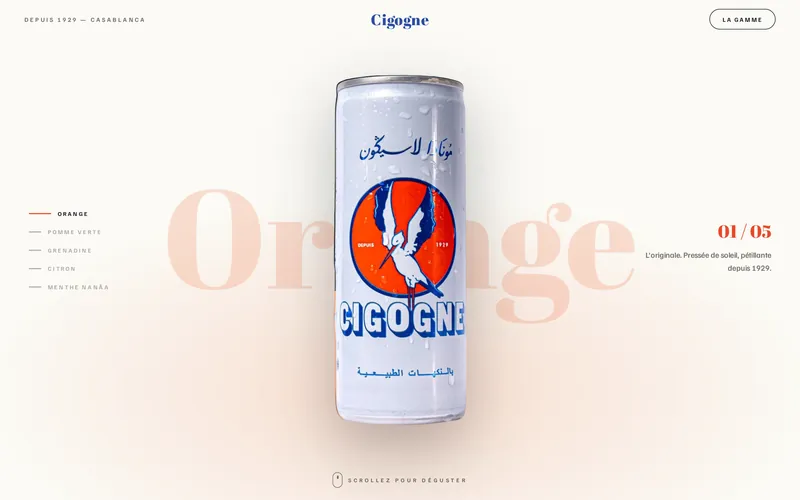 Page d'accueil du site Cigogne, réalisé par Ghassanova